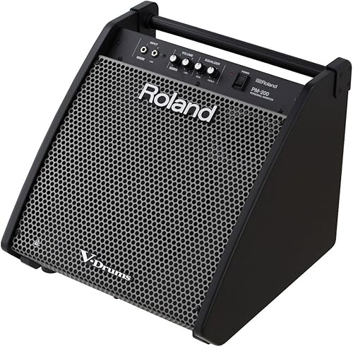 Can you use guitar amp for drums Clearance